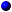 Blue Dot